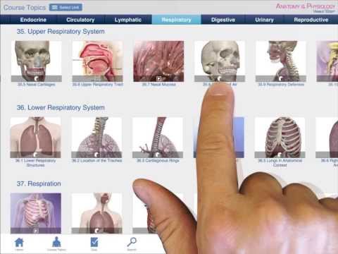 Anatomy And Physiology App Android Free Download