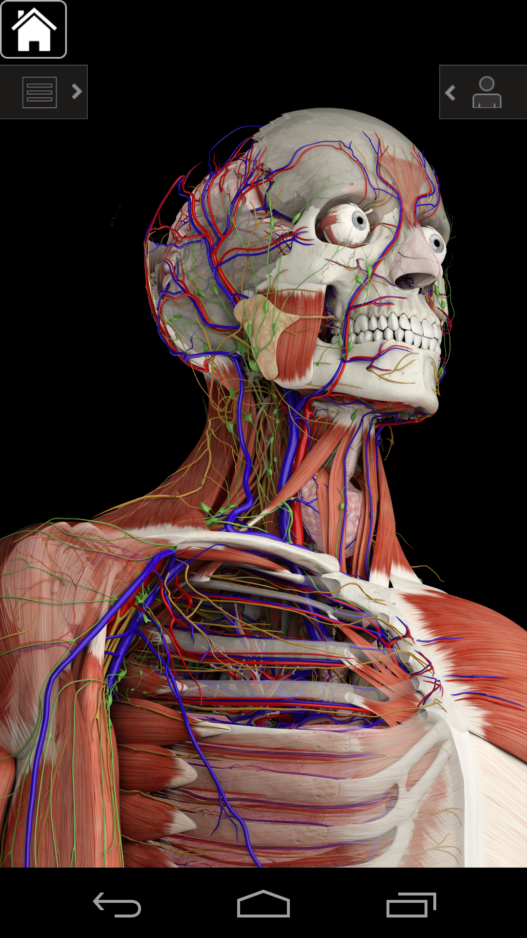 Essential Anatomy 3 App Android Free Download