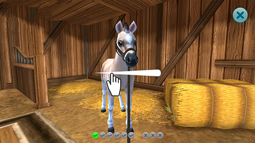 Star Stable Horses Game Android Free Download
