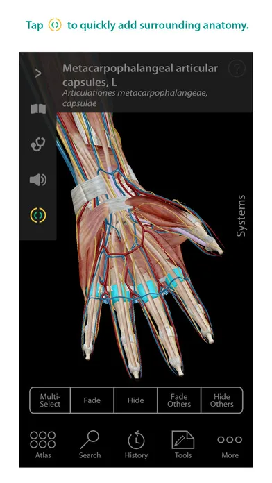 Human Anatomy Ipa App iOS Free Download