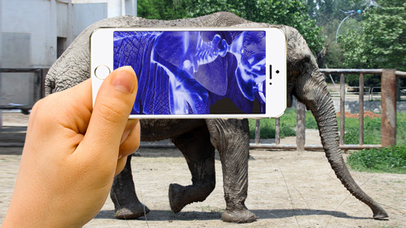 تحميل تطبيق Xray Animal Scanner Ipa لنظام iOS مجانًا